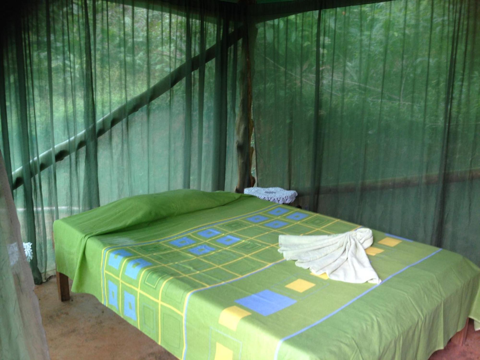 Isla Violin Eco-Lodge Drakes Bay 객실 사진